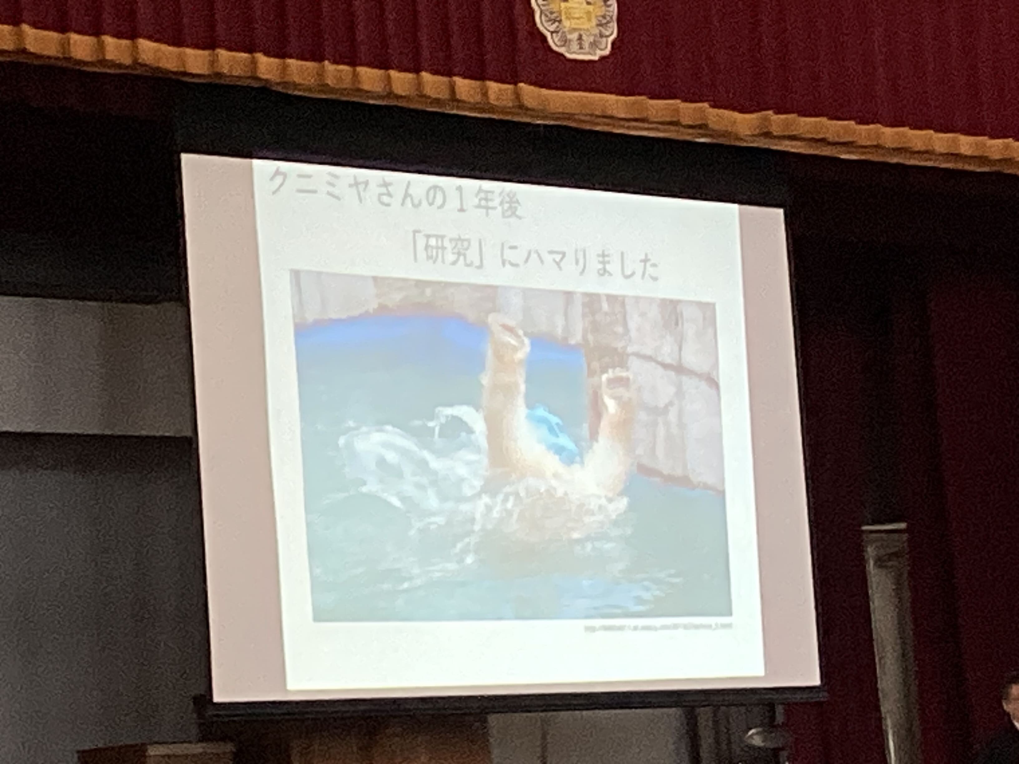 R6探究グランプリファイナル[20250218] (5).jpg